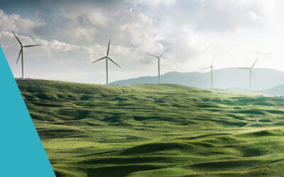 Coming Clean: why net zero is important to your organisation